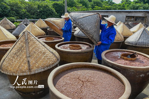晴好天氣釀曬醬油